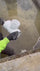 Matt - Boston plumbing monstah - using a constricta multi pot grip - glue and primer caddy to do plumbing work 